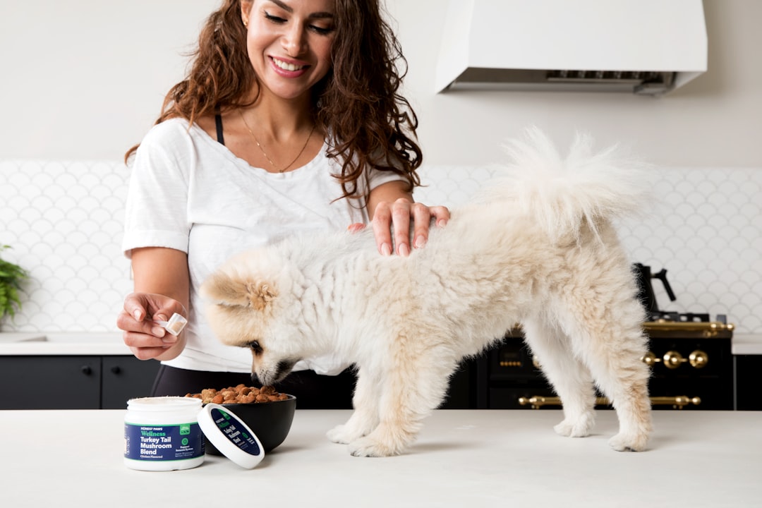 Comprehensive Guide to Balanced Pet Nutrition: Expert Tips for Dogs and Cats' Health